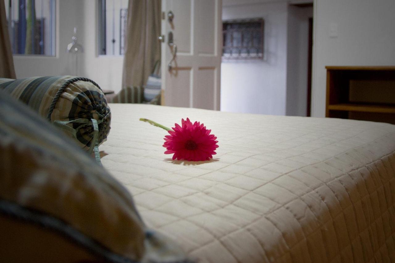 Hotel Ave Del Paraiso San José Eksteriør billede